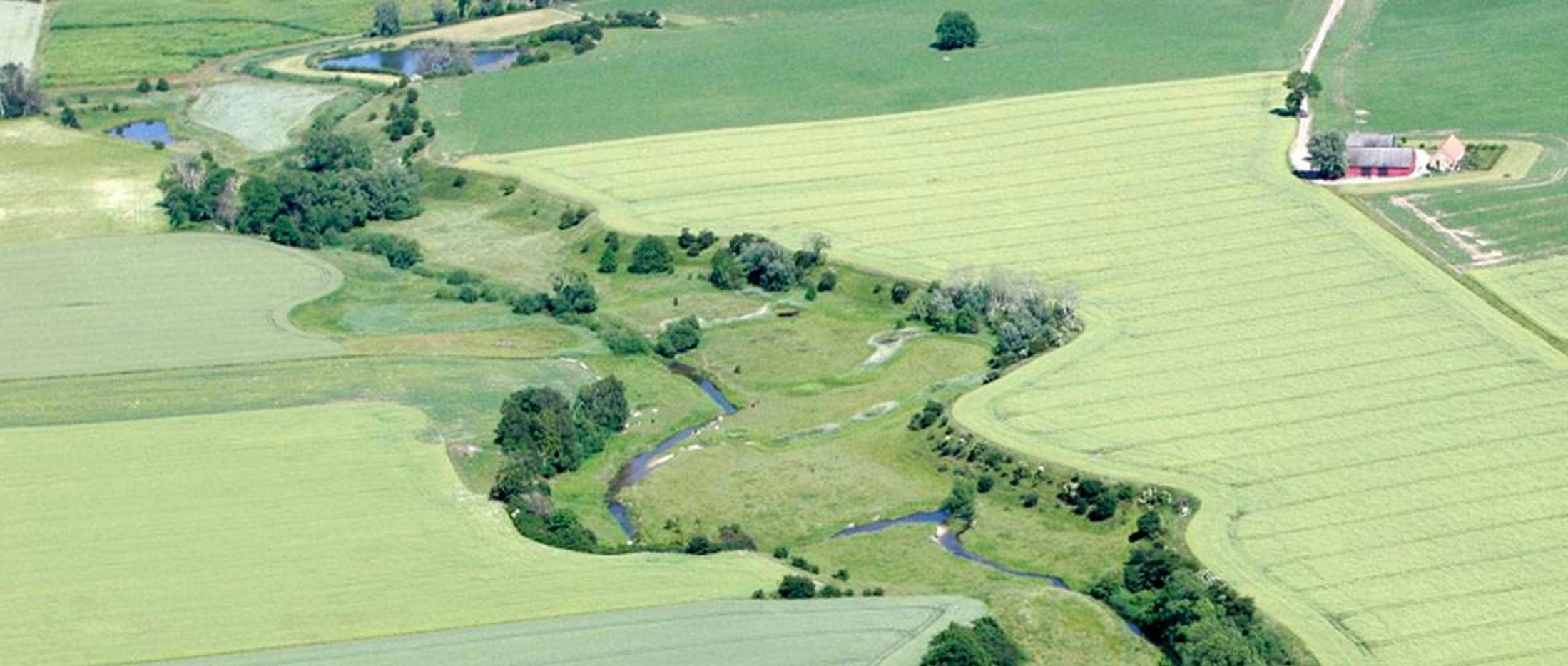 Responsibility from field to fork is a part of Lantmännen's strategy ...