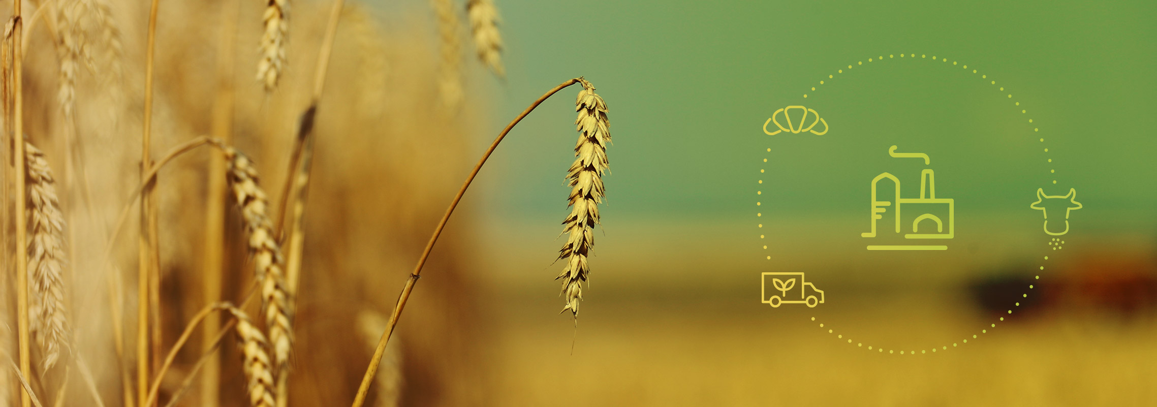 LUB%20-%20UBI%20-%20Sustainability%20-%20Food%20waste